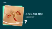 Preview of the Singularu Case Study