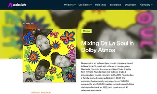 Preview of the De La Soul Case Study