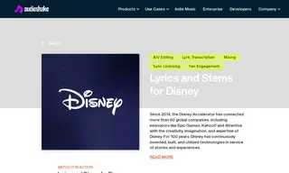 Preview of the Disney Music Group Case Study