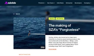 Preview of the Grammy Case Study