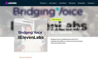 Preview of the Bridging Voice Case Study