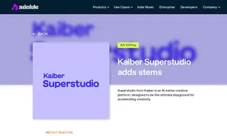 Preview of the Kaiber Superstudio Case Study