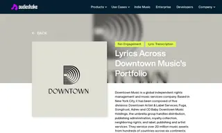 Preview of the Downtown Case Study