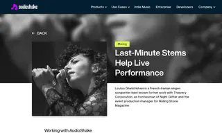 Preview of the Thievery Corporation Case Study