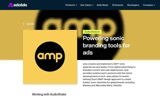 Preview of the amp Case Study