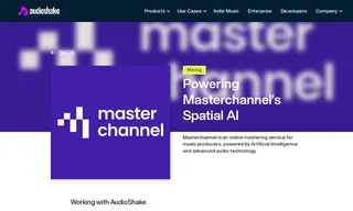 Preview of the Masterchannel Case Study