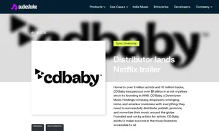 Preview of the CD Baby Case Study