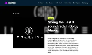 Preview of the Immersive Mixers Case Study