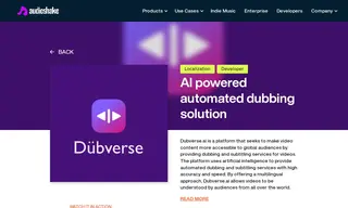 Preview of the Dubverse.ai Case Study