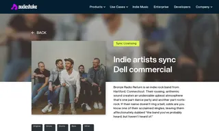 Preview of the Bronze Radio Return Case Study