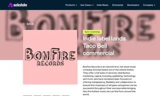 Preview of the BonFire Records Case Study