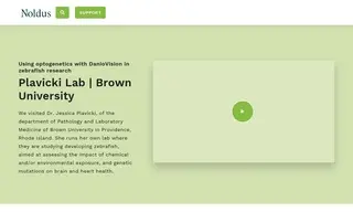 Preview of the Brown University Case Study