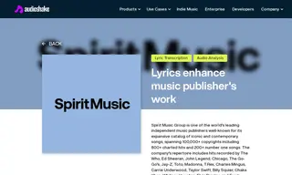 Preview of the Spirit Music Group Case Study