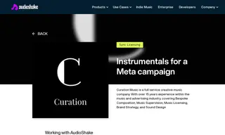 Preview of the Curation Music Case Study