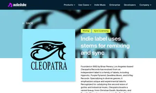 Preview of the Cleopatra Records Case Study