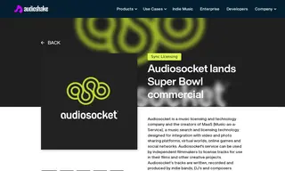 Preview of the Audiosocket Case Study