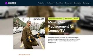 Preview of the Jaywalker Music Case Study