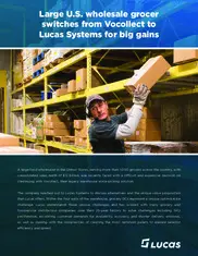 Preview of the Large Food Wholesaler Case Study