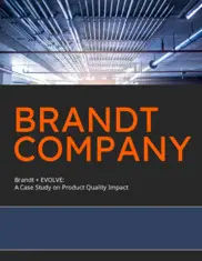 Preview of the Brandt Case Study