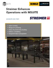Preview of the Streimer Case Study