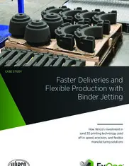 Preview of the Wirco Case Study