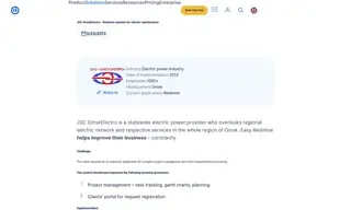 Preview of the JSC OmskElectro Case Study