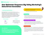 Preview of the Big Valley Marketing Case Study