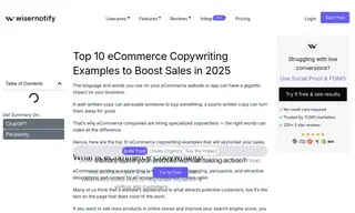 Preview of the Top 10 eCommerce Company Case Study