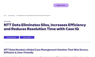 Preview of the NTT Data Case Study
