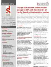 Preview of the Groupe SEB Case Study