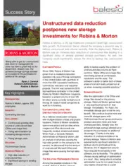 Preview of the Robins & Morton Case Study