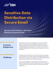 Preview of the Large Healthcare Corporation Case Study