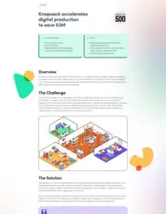 Preview of the Fortune 500 Company Case Study