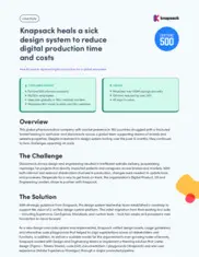 Preview of the Fortune 500 Pharma Company Case Study