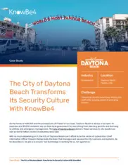 Preview of the City of Daytona Beach Case Study
