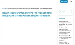 Preview of the Large Distributors Company Case Study