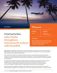 Preview of the Cebu Pacific Case Study