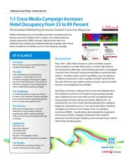 Preview of the LithExcel Marketing Services Provider Case Study