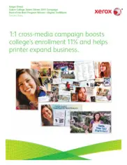 Preview of the Keiger Direct Case Study