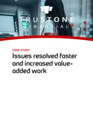 Preview of the TruStone Financial Case Study