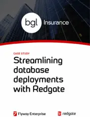 Preview of the BGL Insurance Case Study