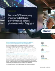 Preview of the Fortune 500 Company Case Study