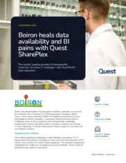 Preview of the Boiron Case Study