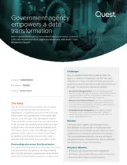 Preview of the Large Government Agency Case Study