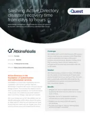 Preview of the AtkinsRéalis Case Study