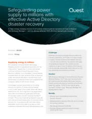 Preview of the Large Energy Company Case Study