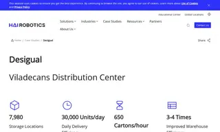 Preview of the Desigual Case Study