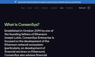 Preview of the ConsenSys Case Study