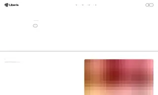 Preview of the Elavon Case Study