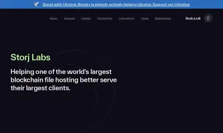 Preview of the Storj Labs Case Study